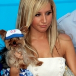 yorki2