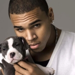 Chris Brown dog wallpaper.jpg