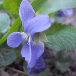 DSCN2233.JPG