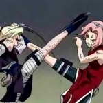 ino vs  szakura.jpg