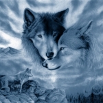 szerelmes farkasok.jpg