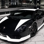 2010-lamborghini-gallardo...jpg