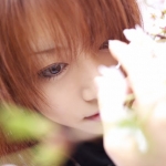 sakuras2.jpg
