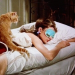 Audrey and the Cat