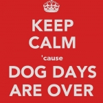 dog days are over
