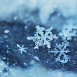 winter040_large.jpg