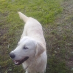 20111106633.jpg