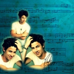 Nick-Jonas-nick-jonas-13771456-1018-807.jpg