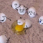 dead egg.jpg