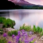 Nature.jpg