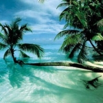 maldiv island1.jpg