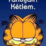 garfield12.jpg