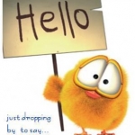 hello-1.jpg