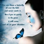butterfly_025.jpg