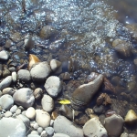 DSC04405.JPG