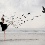 ballet,bird,black,dancing,art,birds-7bc94c5ef73437ab15f9017422b5cc67_h_large.jpg