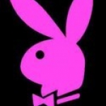 playboy bunny.jpg