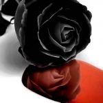 Rose_And_Blood.jpg