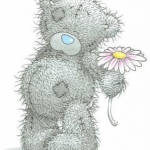 Tatty-Teddy-s-holding-a-daisy-me-to-you-bears-6350334-315-405.jpg