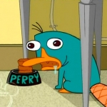 Perry :p