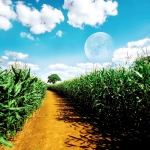 Beautiful_World_03_by_lynxdesign.jpg