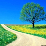 Beautiful World-Sceneries (8).jpg