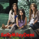 Sel,Mil,Dem.jpg