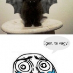 De édes :)