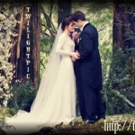 Twilight-Breaking-Dawn-Carolina-Herrera-Wedding-Dress-3jpgpagespeedcesLOafWPXMi.jpg