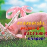 BBUUÉÉKK.JPG