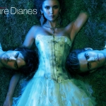 Vampire-Diaries :$