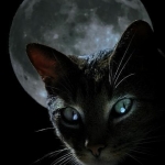 black-cat-moon.jpg