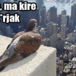 LOOOL :D :D