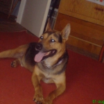 DSC00339.JPG