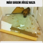 Ennyire-hiányoztál.jpg