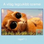 cukííí.jpg