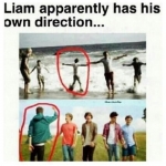 liam's own direction xd.jpg