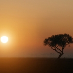 4571-californianfarmsunset-hatterkep-eu.jpg