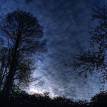 4591-bluemorning-hatterkep-eu.jpg