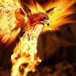 313709_225898730889076_1385290982_n.jpg