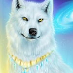 bluewolf2.jpg
