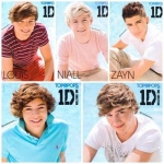 OneDirection