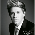 Niall-Horan-vogue-Photoshoots-2012-one-direction-32657336-1392-1600.jpg