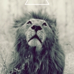 tumblr_mazit2A1Oq1ql78yqo1_500.jpg