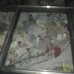 HPIM0436.JPG