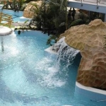 000145450_aquaticum.jpg.jpg