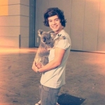 Harry koalát ment.jpg