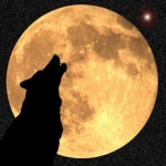 Wolf-Moon.jpg