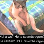 hol a wc hol a szemüvegem hola kávém.jpg