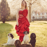 lily-james-and-dogs-1520268591.jpg